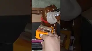 🏇dont get the lipstick toy of angry dog#shorts #satisfying #asmr #entertaining #maddog