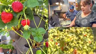 Haciendo UNA AGUA FRESCA DE FRESAS DE MI JARDIN Y CENANDO SABROSO!