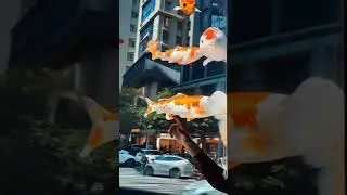 virtual Fish reality #music #song #bollywood #love #trending #automobile #musicvideo #ai #shorts