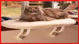 K&H Pet Products Kitty Sill Cat Window HeatedUnheated Hanging Window Perch Bed and Hammock