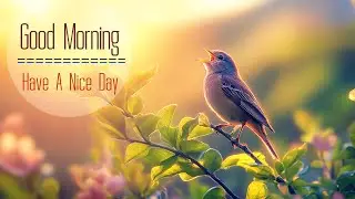 POWERFUL MORNING MUSIC - Wake Up Happy and Full of Positive Energy - Soft Morning Meditation Music