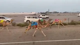 ميدان وهره 2/12/2023 شوط 4