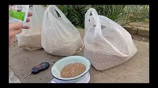 Sağlam və təbii toyuq yemi hazırladıq! 🌾🐓 Yumurtalar bol olsun!