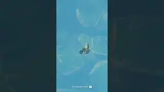 I Think That Water Is Too Shallow! #zelda #totk #tearsofthekingdom
