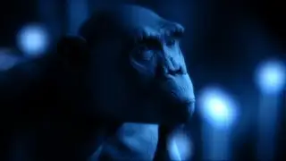 The Fundamental Truth of Life Part 2 | Charles Darwin and the Tree of Life | BBC Studios