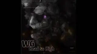 W.G, Head so high (freestyle_video) 