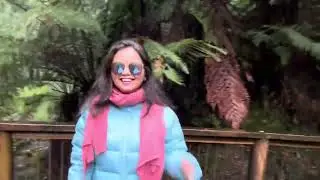 Explore Tasmania #launceston #hobart #Dovalake#traveldiaries