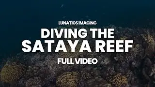 Sataya Coral Reef Diving Red Sea Egypt 2022 | Full Video Sony A6500 Underwater