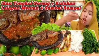 Mukbang Ikan Tongkol Goreng + Kuluban + Lalapan Mentah & Sambal Rampai 