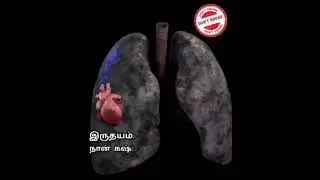 how smoking affects your lungs animation #healthandwellness #animation #healthtips #dhamu