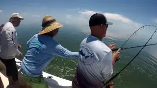 Pescando en los cayos cuberas, y barracuda