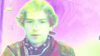 Maybird - Fried Dead Moth (Music Video)