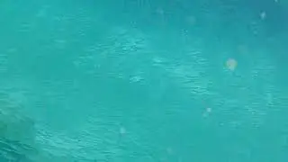 snorkeling Yanchep Beach, Australie 2023