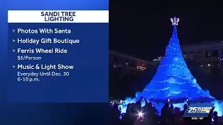Sandi Tree to light up the waterfront in downtown West Palm Beach