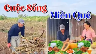 Buồn Ngủ Gặp Chiếu Manh Ra Đồng Mà Cũng Được Quà Với View Triệu Đô Của Út Cường 