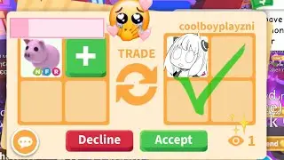 12 big wins for neon pig/ trading neon pig!!🙀🙀🙀