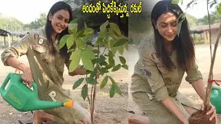 Heroin Rakul Preeth Singh Accept Green India Challenge || Political Buzz