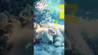 🎄 &ldquo;Christmas Lullaby for Babies | Silent Night Sleep Music ✨ Calm Baby Sleep Sounds for Christmas&rdquo; 🎄