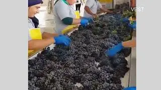 Fast Workers - Workers Do Their Work Quickly