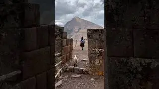 Following the sheep lady through the megalithic gate