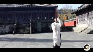 Longhua Quan 龙华拳 por Shifu Aelson (Chen Yuzilong) do Brasil, sucessor do Mestre Chen Shiyu de Wudang