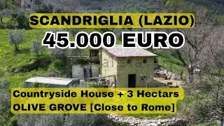 SCANDRIGLIA (LAZIO) Countryside House + 3 Hectars OLIVE GROVE 45K [1 hour Driving from Rome] Rieti