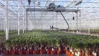 Robur spuitrobot - potplanten