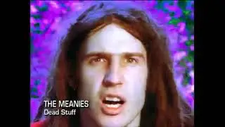 The Meanies - 