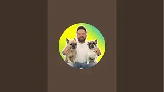 somefrenchienamedapollo is live!