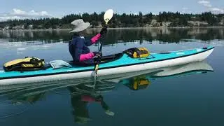Port Susan