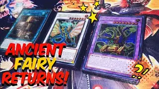 ABC is Playable!? P.U.N.K. ABC &bull; Deck Profile, Combos & Test Hands (Feb, 2023)