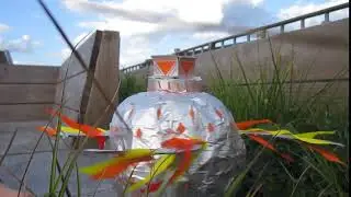 Unfettered Flaming Bladespinner