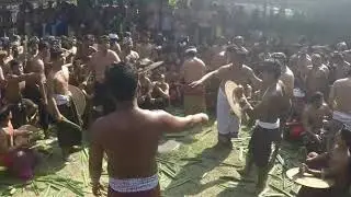Geret pandan 24 juni 2019 , tenganan pegringsingan
