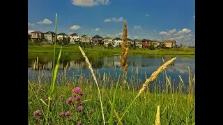 Sage Hill Community Focus