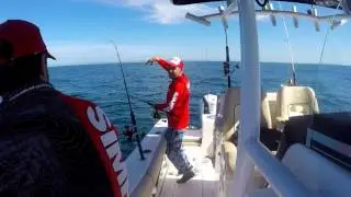 Sea Fox Fishing Life
