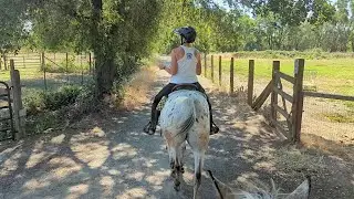 Ride from Gibson Ranch
