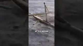 Epic Fishing Skills🦈 