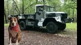 A Dog Named Steve