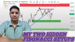 Trading SECRETS: Pro Entry & Exit Strategies Explained|| My two Hidden Fibonacci Setup||