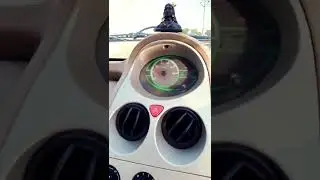 Tata nano milenge 😃🦗👍