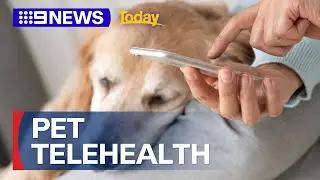 New service giving Aussie pet owners access to vet advice from home | 9 News Australia