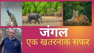 Jangal ek khatarnak safar # kachche road danger animal snake 🐍 and big birds #