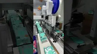 Wet Wipes Packaging Machine