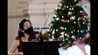 Vivaldi Violin Concerto RV. 217