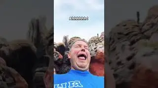 Splash Mountain Fail!