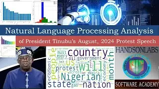Natural Language Processing Analysis: Tinubu's August 2024 Speech