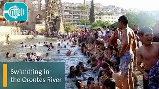 Swimming in the Orontes River