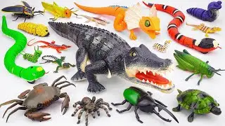 Ultimate ZURU Robo Alive Insects ASMR 🦎 Robo Crocodile & RC Snake & Lizard & Spider | Review Toys