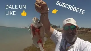 SURFCASTING EN EL CA&Ntilde;O SANCTI PETRI, CERCA DEL CLUB PUENTE DE CANAL DE PESCA
