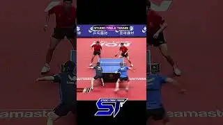 Fan Zhendong Best Player #卓球の試合 #탁구 경기 #스포츠 #pingpong #tabletennis #shorts